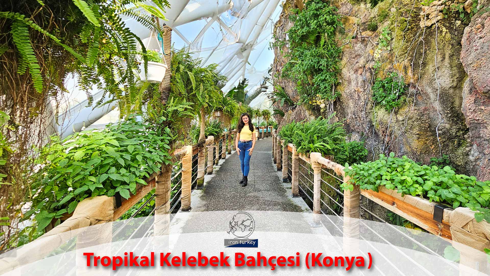 کسب و کار در ترکیه طراحی سایت تولید محتوا سئو