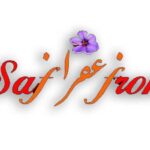 Türkiye'deki İranlı işletmeler