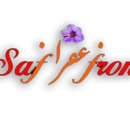 Türkiye'deki İranlı işletmeler