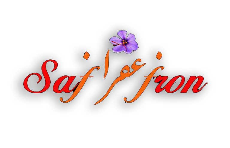 Türkiye'deki İranlı işletmeler