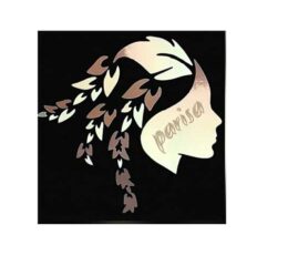 Türkiye'deki İranlı işletmeler