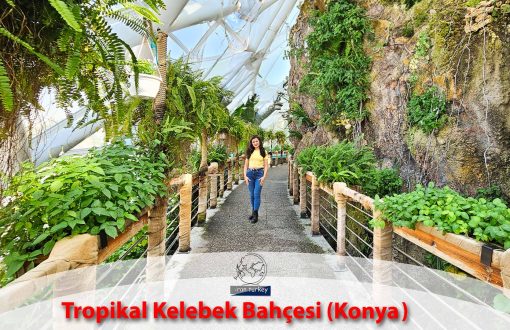 کسب و کار در ترکیه طراحی سایت تولید محتوا سئو